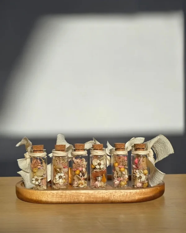 MINI ELAIA - Imagen 8