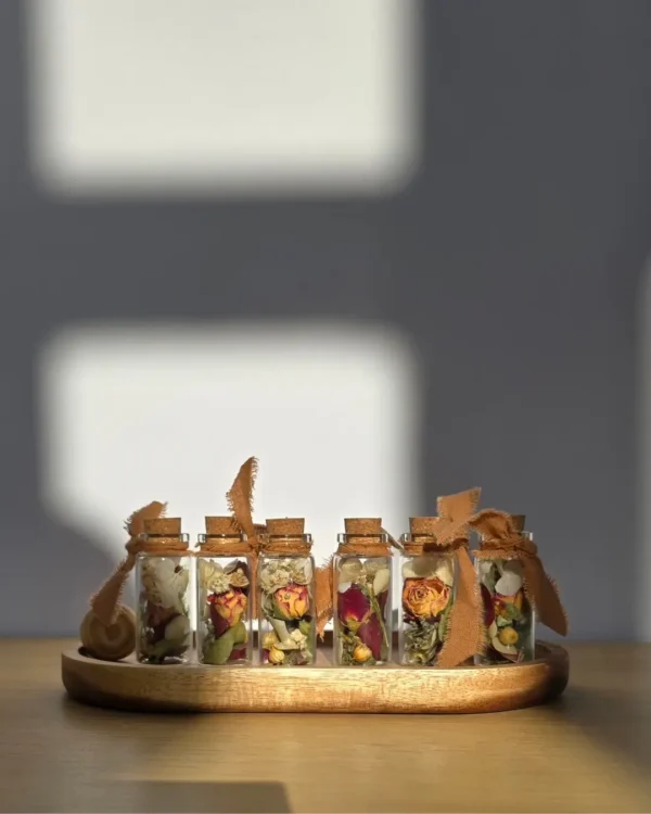 MINI SIA - Imagen 6