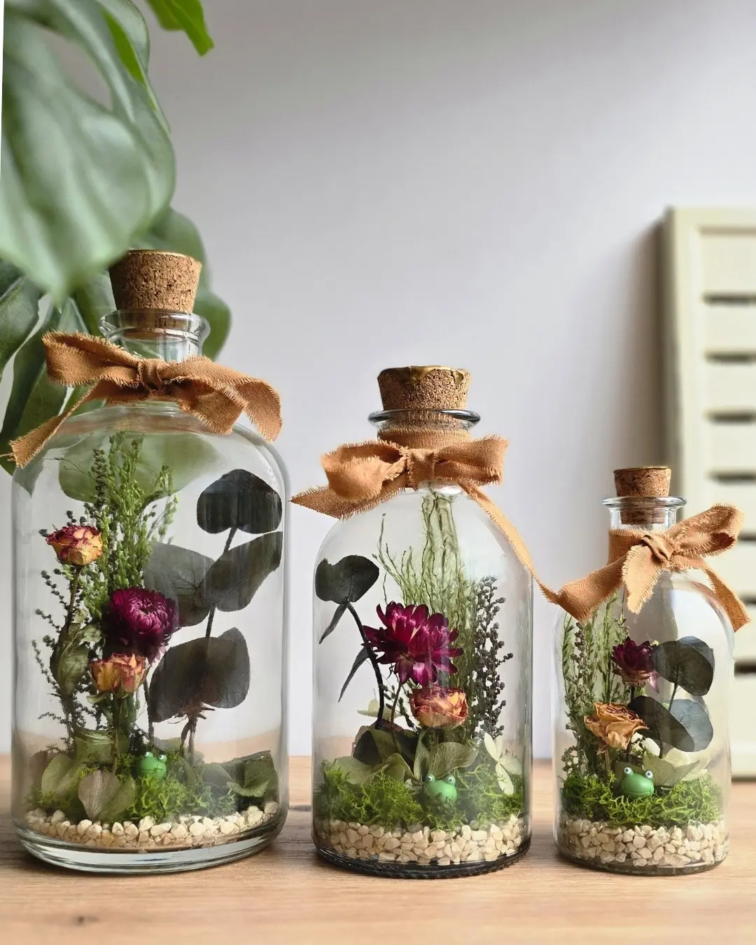 BOSQUE SIA PEQUEÑA - Imagen 7