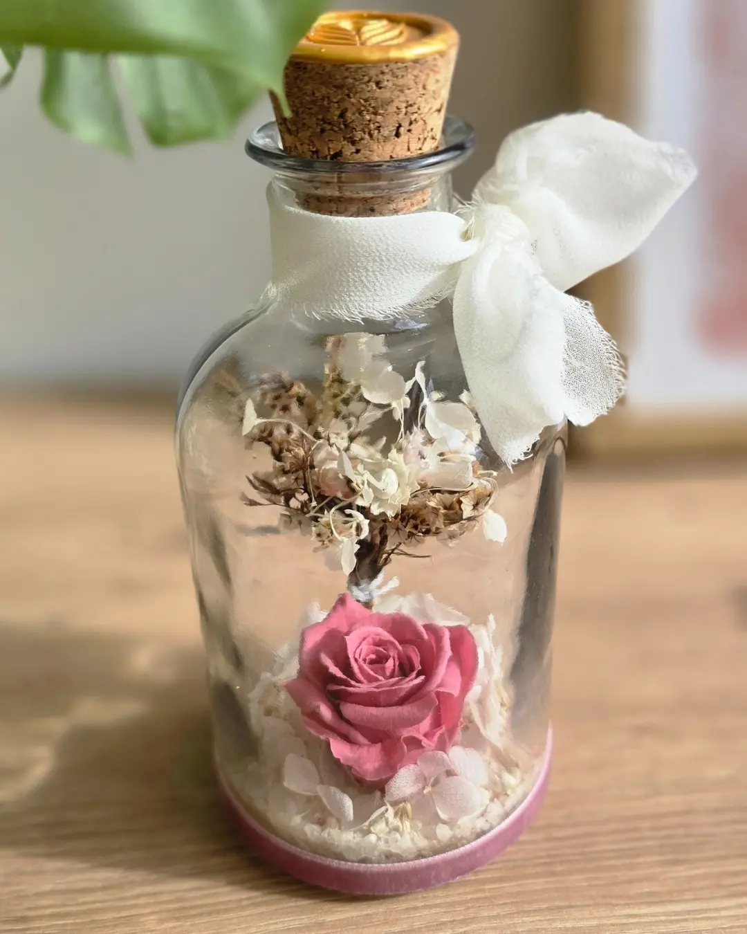 LIA MEDIANA - Imagen 2